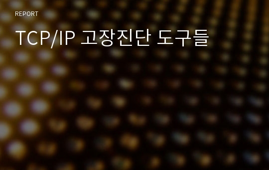 TCP/IP 고장진단 도구들