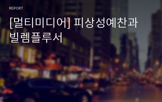 [멀티미디어] 피상성예찬과 빌렘플루서