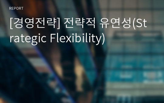 [경영전략] 전략적 유연성(Strategic Flexibility)