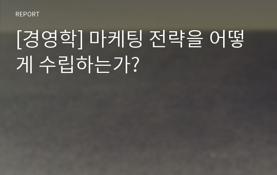 [경영학] 마케팅 전략을 어떻게 수립하는가?