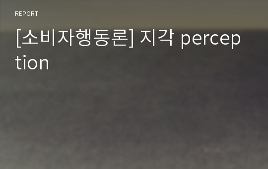 [소비자행동론] 지각 perception