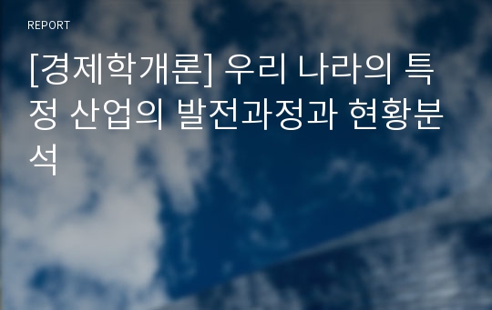 [경제학개론] 우리 나라의 특정 산업의 발전과정과 현황분석