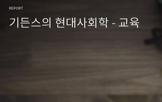 기든스의 현대사회학 - 교육