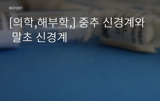 [의학,해부학,] 중추 신경계와 말초 신경계