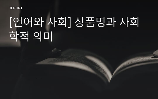 [언어와 사회] 상품명과 사회학적 의미