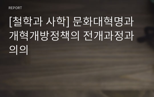 [철학과 사학] 문화대혁명과 개혁개방정책의 전개과정과 의의