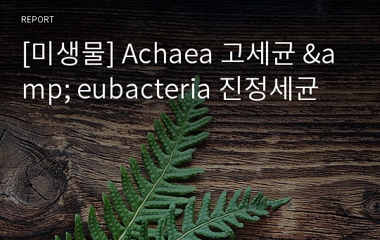 [미생물] Achaea 고세균 &amp; eubacteria 진정세균