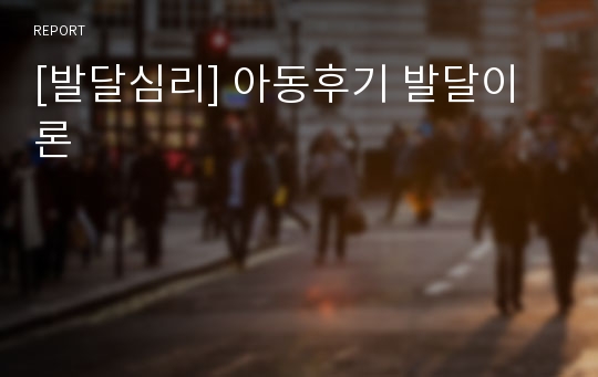 [발달심리] 아동후기 발달이론