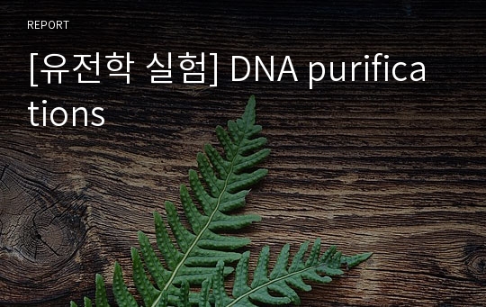 [유전학 실험] DNA purifications