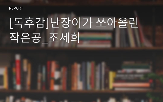 [독후감]난장이가 쏘아올린 작은공_조세희