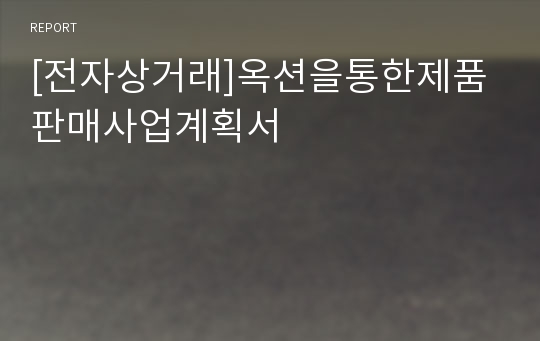 [전자상거래]옥션을통한제품판매사업계획서