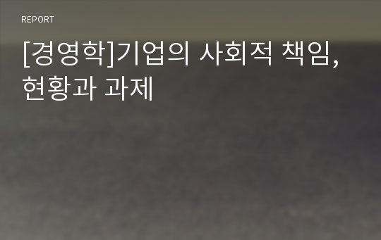 [경영학]기업의 사회적 책임, 현황과 과제