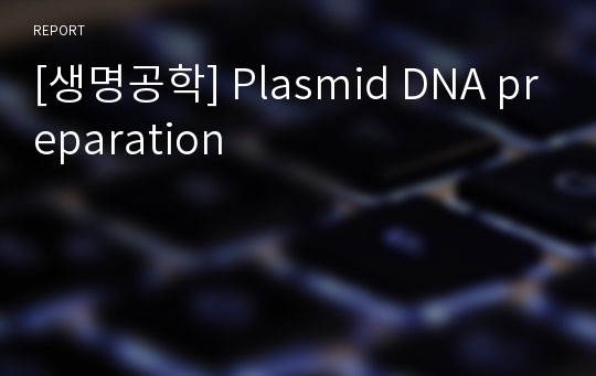 [생명공학] Plasmid DNA preparation