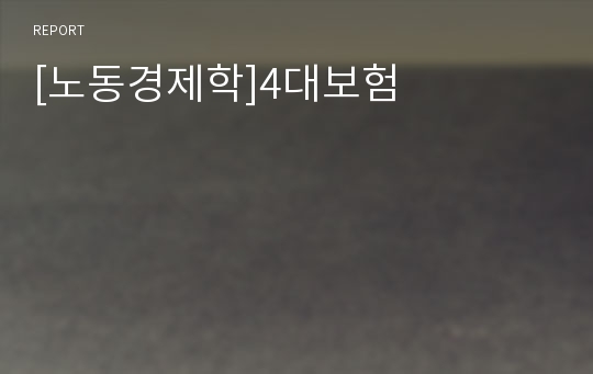 [노동경제학]4대보험