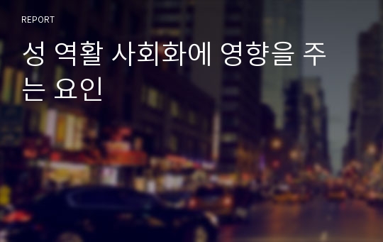 성 역활 사회화에 영향을 주는 요인