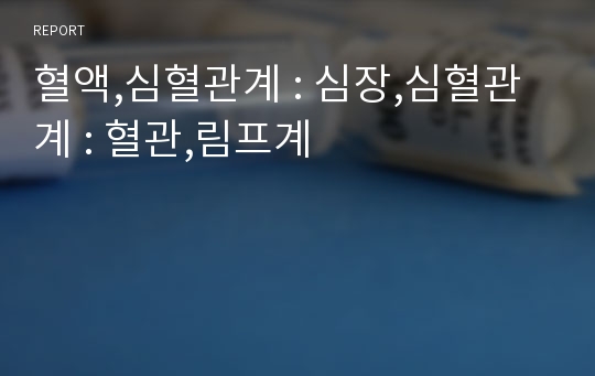 혈액,심혈관계 : 심장,심혈관계 : 혈관,림프계