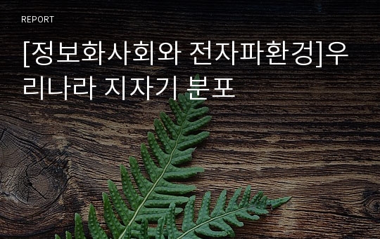 [정보화사회와 전자파환겅]우리나라 지자기 분포