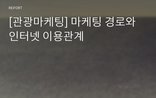 [관광마케팅] 마케팅 경로와 인터넷 이용관계