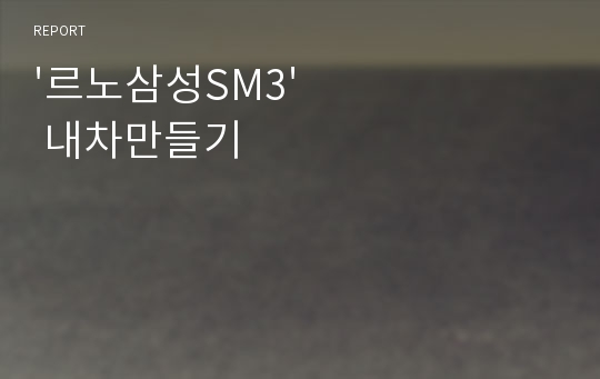 &#039;르노삼성SM3&#039; 내차만들기