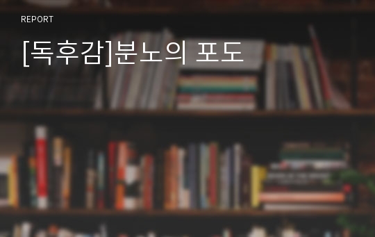 [독후감]분노의 포도