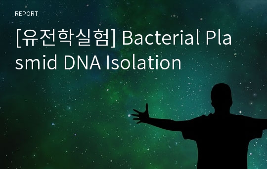 [유전학실험] Bacterial Plasmid DNA Isolation