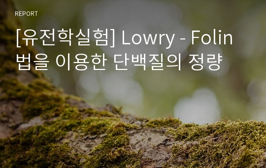 [유전학실험] Lowry - Folin법을 이용한 단백질의 정량