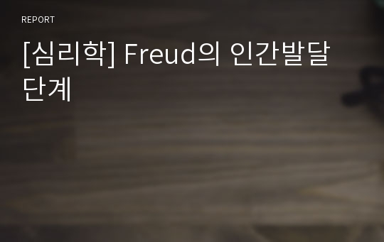 [심리학] Freud의 인간발달 단계