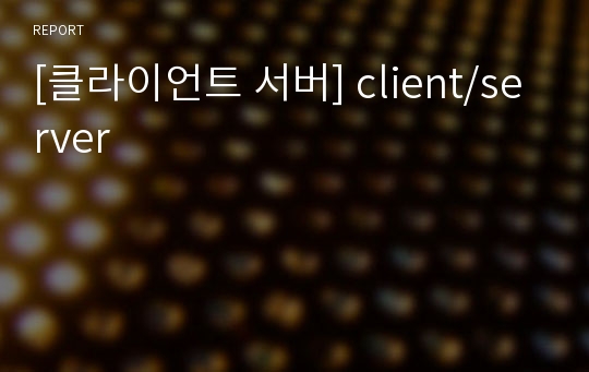 [클라이언트 서버] client/server