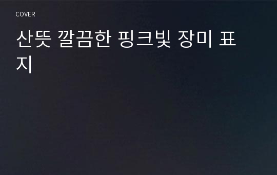 산뜻 깔끔한 핑크빛 장미 표지