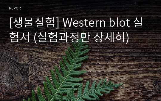 [생물실험] Western blot 실험서 (실험과정만 상세히)