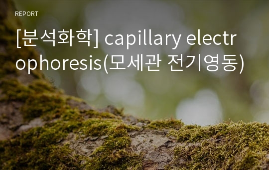 [분석화학] capillary electrophoresis(모세관 전기영동)