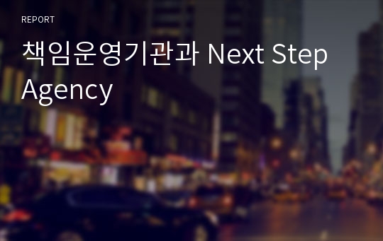 책임운영기관과 Next Step Agency