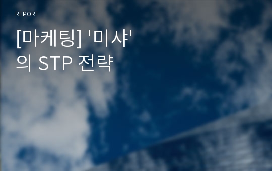 [마케팅] &#039;미샤&#039;의 STP 전략