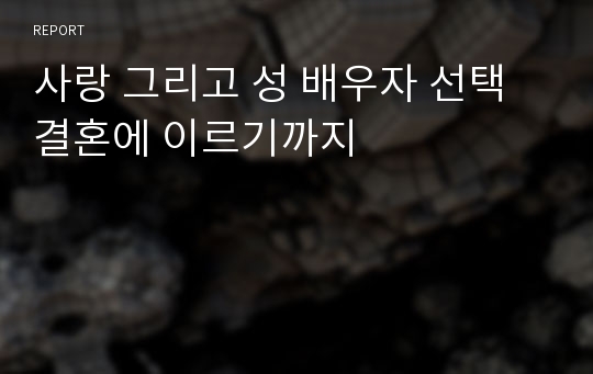 사랑 그리고 성 배우자 선택 결혼에 이르기까지