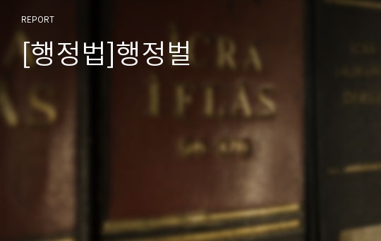 [행정법]행정벌