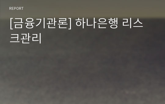 [금융기관론] 하나은행 리스크관리