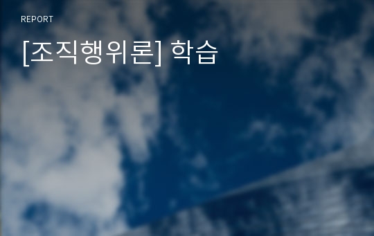 [조직행위론] 학습