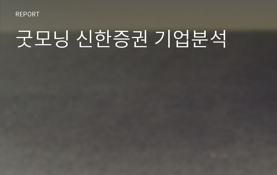 굿모닝 신한증권 기업분석