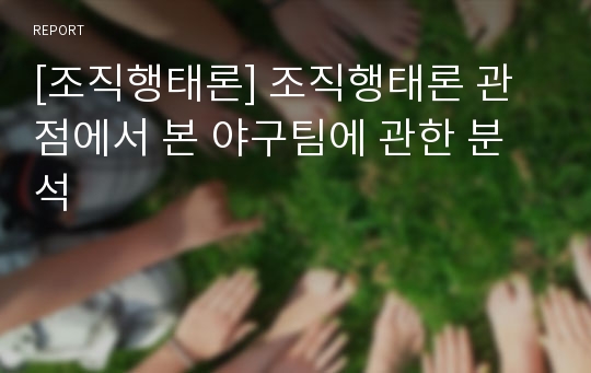 [조직행태론] 조직행태론 관점에서 본 야구팀에 관한 분석