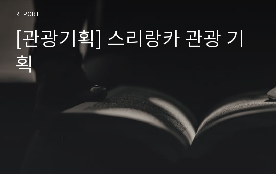 [관광기획] 스리랑카 관광 기획