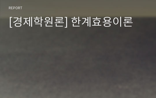 [경제학원론] 한계효용이론