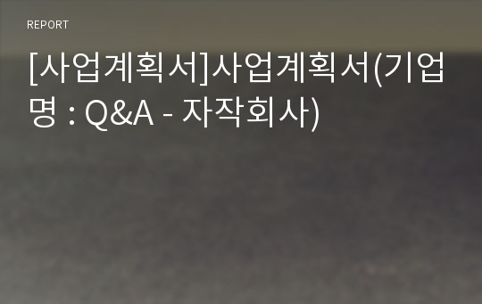 [사업계획서]사업계획서(기업명 : Q&amp;A - 자작회사)