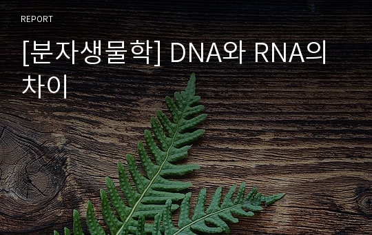 [분자생물학] DNA와 RNA의 차이