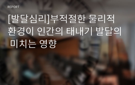 [발달심리]부적절한 물리적 환경이 인간의 태내기 발달의 미치는 영향