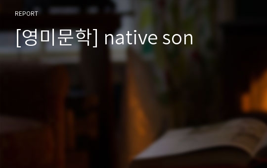 [영미문학] native son