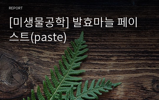 [미생물공학] 발효마늘 페이스트(paste)