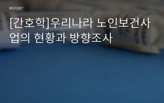 [간호학]우리나라 노인보건사업의 현황과 방향조사