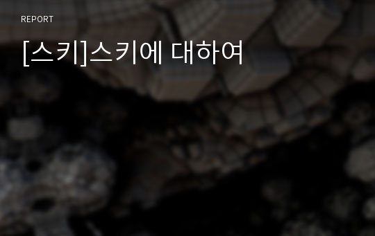 [스키]스키에 대하여