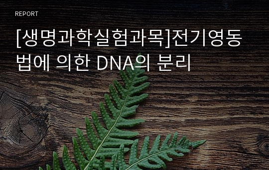 [생명과학실험과목]전기영동법에 의한 DNA의 분리