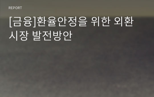 [금융]환율안정을 위한 외환시장 발전방안